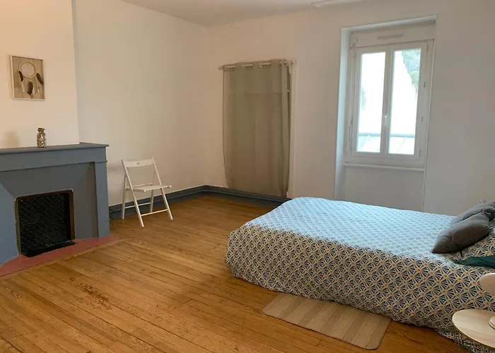 Elegant Appartement T3 Hypercentre De Mazamet