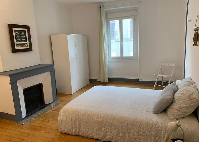 Elegant Appartement T3 Hypercentre De Mazamet